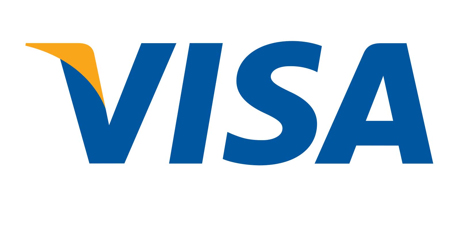 visa icon